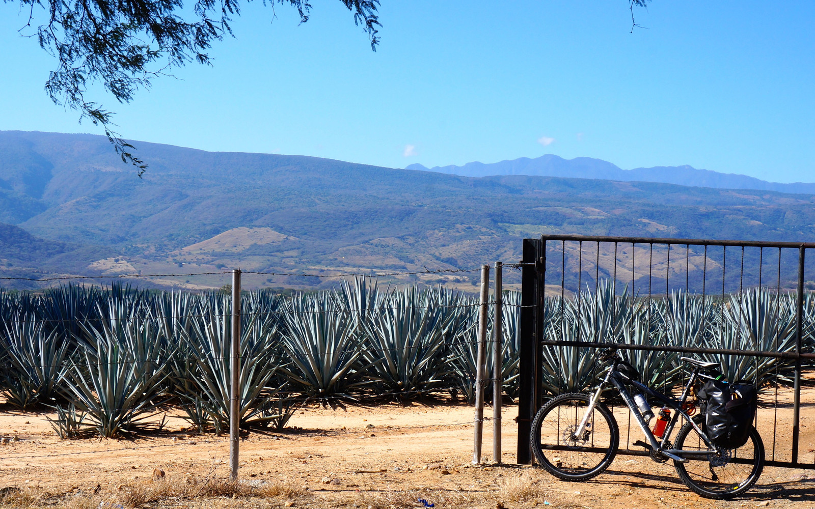 Baja Mexico: Desert, Ocean, and Empty Roads